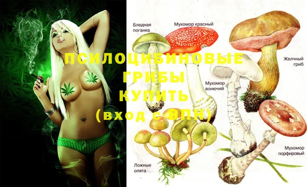 дмт Балабаново