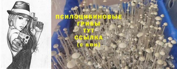 ALPHA PVP Баксан