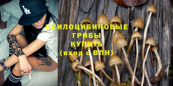 дмт Балабаново