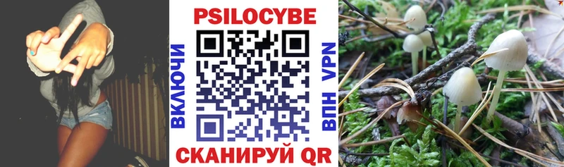наркота  Бугульма  Псилоцибиновые грибы прущие грибы 